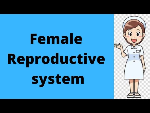 Female Reproductive system #viralvedio #youtubefeed#shortsfeed#reelsfeed #shorts #youtubeshorts