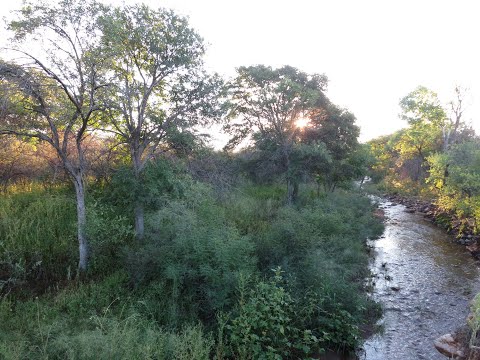 Chiricahua Mountains in south east Arizona, along the creek