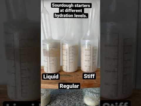 CO2 Monsters: Liquid vs. Regular vs. Stiff Sourdough Starter