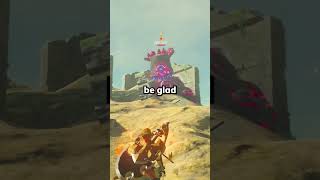 Did You Know in Zelda Breath of the Wild? (7)