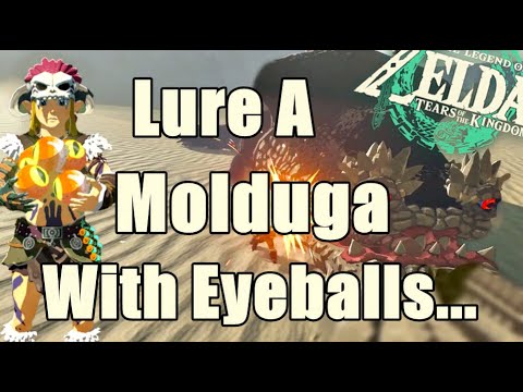 How to Kill A Molduga in Zelda Tears of the Kingdom