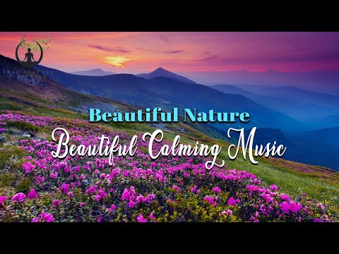 Beautiful Nature with Calming Music | Easy YouTube Listening