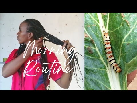 Morning Routine In a Village | Slow Living | Cooking Oats #southafricanyoutuber