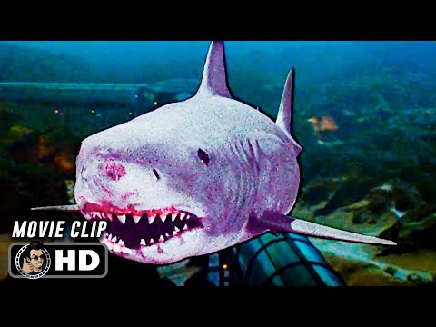 Glass Break Scene | JAWS 3 (1983) Movie CLIP HD