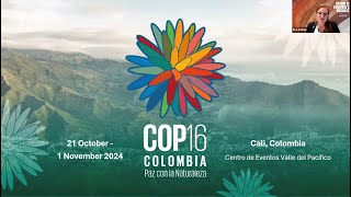 Webinar - Road to Biodiversity COP16: Why and how business should contribute