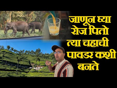 Ooty Tourist Places | Ooty Tour Budget & Ooty Itinerary | Ooty Travel Guide उटी मध्ये काय बघावे