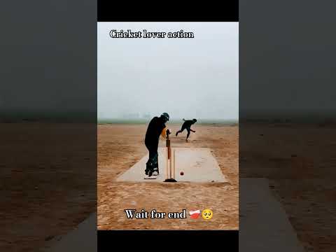 #cricket #cricketlover #viral #viralreels #siraj #viratkohli #short #shorts