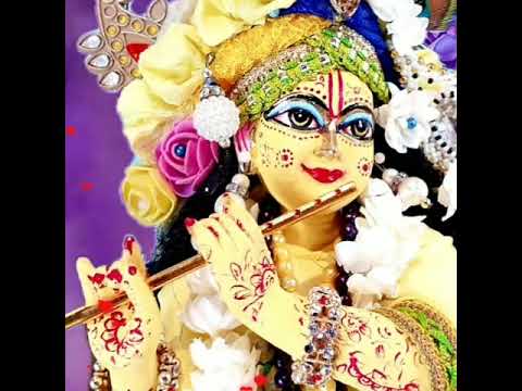 Radha Rani new WhatsApp status on PDT studio Sunday bhajan special राधे कृष्णा नया भजन रविवार स्पेशल