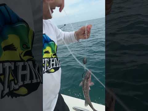 Secret Bait Catches SEA MONSTER