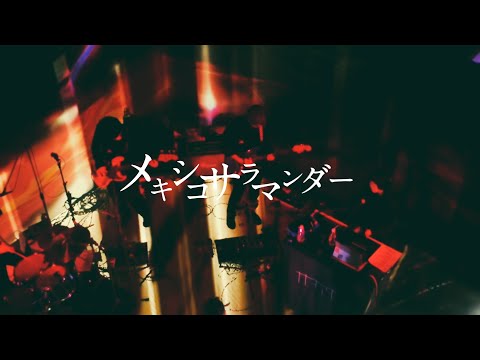 【Live MV】メキシコサラマンダー(short ver.) / ナナヲアカリ