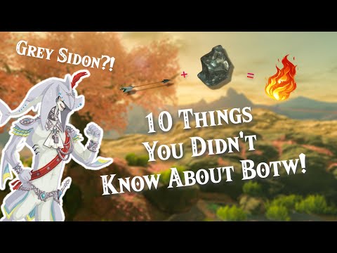 10 Things You DIDN'T Know About Breath of The Wild