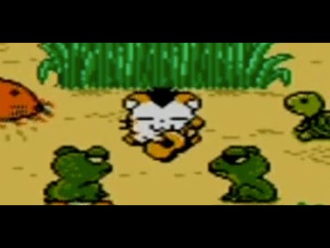 Hamtaro: Ham-Hams Unite! Playthrough Part 4 (Elementary, My Dear Hamster!)