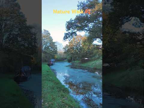 🍁Walk in the English Countryside#nature #shortvideo #countryside #autumn #pov #england #shorts