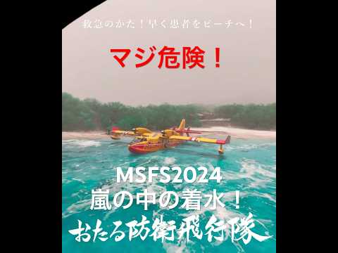 【飛行艇トレ】台風の中の離着水！#msfs2024