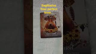 Sag🌻 your perfect lover... #tarotcardreadings #tarotreadings #shortstarotreadings #sagittariustarot