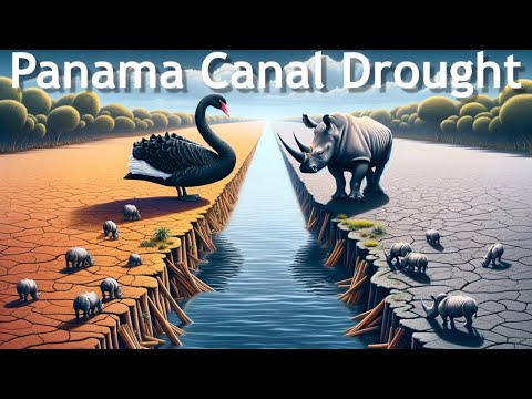 🌍 Black Swan or Grey Rhino? Understanding the Panama Canal Drought in Procurement 🚢