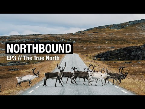 EP3 THE TRUE NORTH | A cinematic road trip series through NORWAY