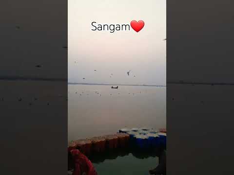 Sangam❤️ #prayagraj #allahabad #gangayamuna #sanatandharma #tukisirail #dushyantkumar #traveldiaries