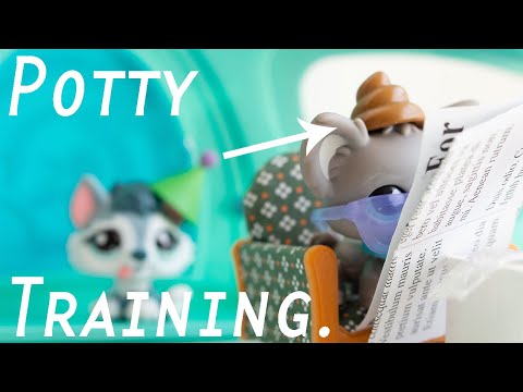 LPS Potty Training