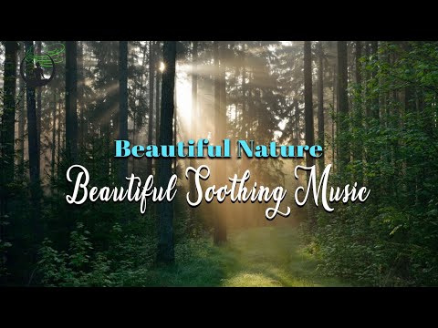 Beautiful Nature with Soothing Music | Easy YouTube Listening