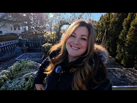 January Garden Walk! It’s Looking Pretty Good! 🥰🌲💚 // Garden Answer