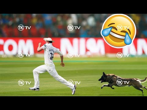 Best cricket moment