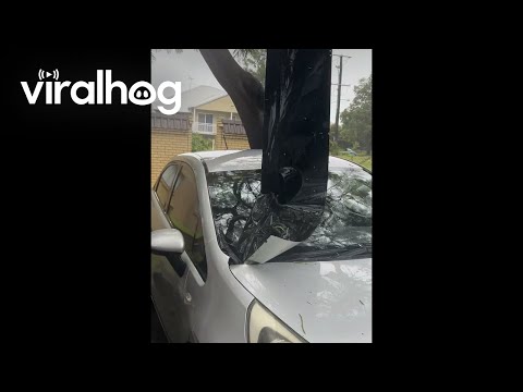 Gutter Stuck Through Windshield After Cyclone Alfred || ViralHog