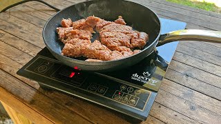 Duxtop Portable Induction Cooktop Review