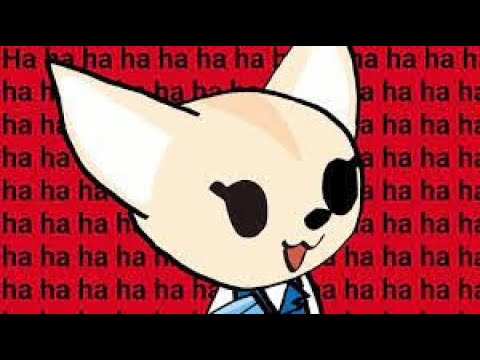 Proof That Fenneko is a Good Friend to Haida