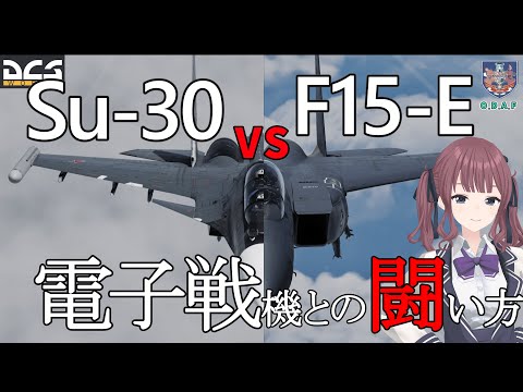 【DCS解説】F-15E 対ECM 戦闘モード！