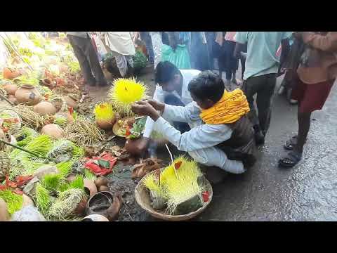 मैहर जवारा विसर्जन,मैहर, मध्य प्रदेश .