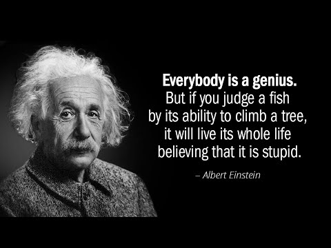 Albert Einstein - What's wrong with the genius of all time and one nation?