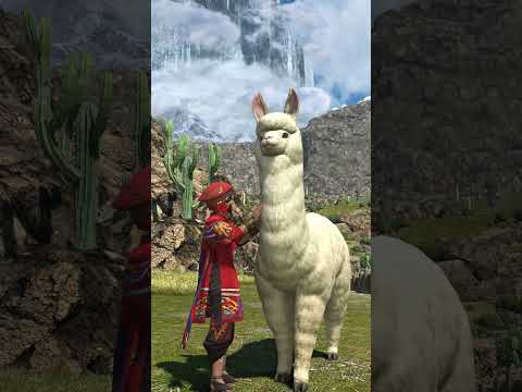 New encounters await in #Dawntrail ! 『黄金のレガシー』で待ち受けている新たな出会い #FFXIV #FF14 #Shorts