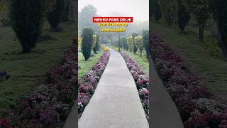 Nehru park Delhi ( nature beauty all around )