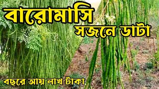 বানিজ্যিক ভাবে সজনে চাষে বছরে আয় করুন কয়েক  লাখ টাকা ।Raaz Agro