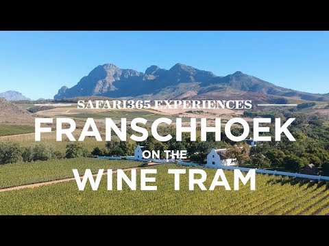 Franschhoek Wine Tram, South Africa | Safari365