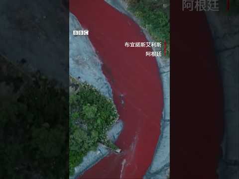 看起來像「血河」的阿根廷運河－ BBC News 中文