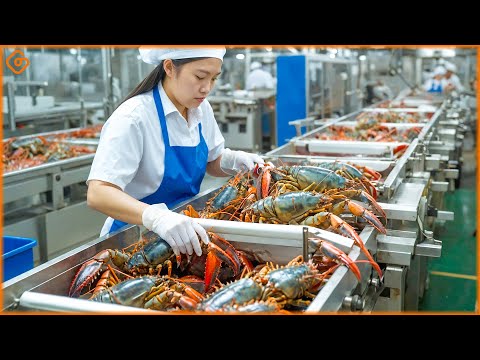 138 Amazing Modern Food Technology Processing Machines That Are on Another Level