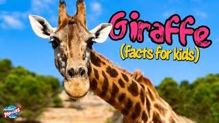 Giraffes For Kids - 10 facts about the world’s tallest animal