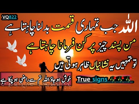 jab allah tmhary dil mein kse ki cha dalta hai | beautiful spiritual quotes | islamic quotes