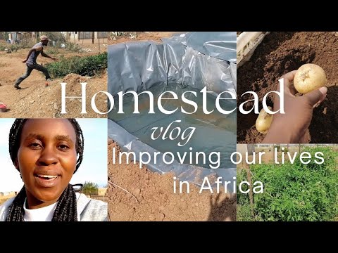 A different village lifestyle | Couple strives to improve their Homestead | Living in Africa