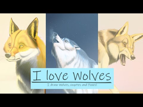 I Love Wolves: I Draw Wolves, Coyotes and Foxes - (2024) Drawing Animals - Speed Paint