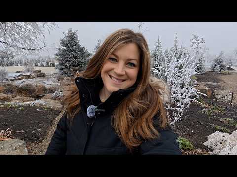 Decking Out My Parent’s Window Boxes for Winter! 🥰🌲🏡 // Garden Answer