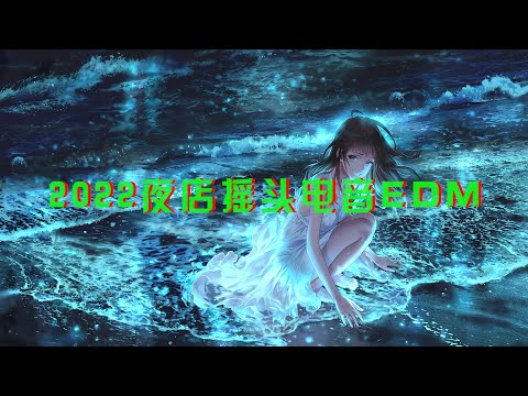 2022夜店摇头电音EDM