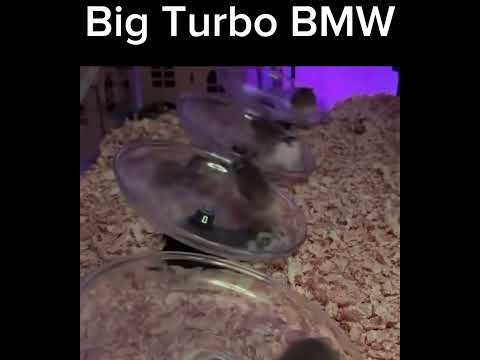 Big Turbo BMW #shorts #supercar #carcommunity #carenthusiast #fyp #bmw #race #sportscar