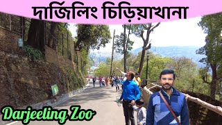 দার্জিলিং চিড়িয়াখানা 2023 | Darjeeling Zoological Park | Darjeeling Zoo | Mountaineering Institute