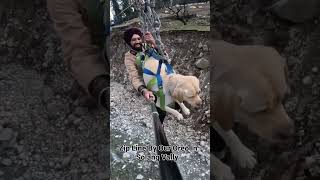 Zip line Manali Solang vally by Oreo #sagguofficial #