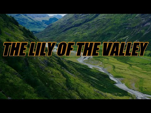 The Lily Of The Valley - acapella with lyrics