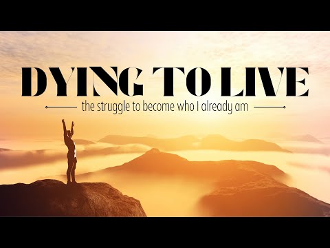 The Struggle with Suffering | Chip Stallings | November 3, 2024