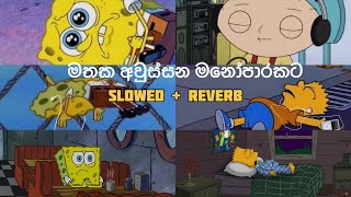 මතක අවුස්සන මනෝපාරකට | Slowed and Reverb Songs | manoparakata sindu playlist